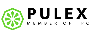 Pulex